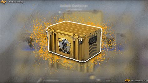 csgo cases database